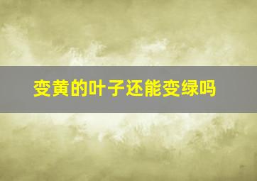 变黄的叶子还能变绿吗