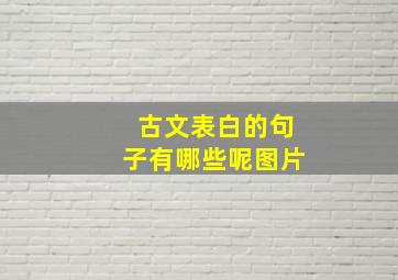 古文表白的句子有哪些呢图片