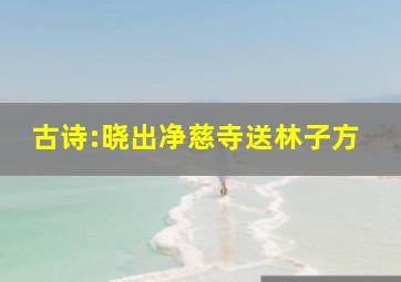 古诗:晓出净慈寺送林子方