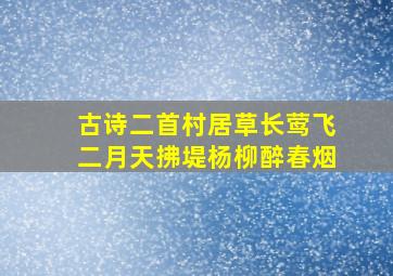 古诗二首村居草长莺飞二月天拂堤杨柳醉春烟