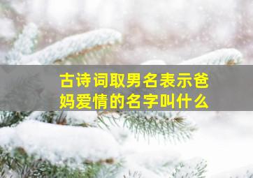 古诗词取男名表示爸妈爱情的名字叫什么