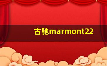 古驰marmont22