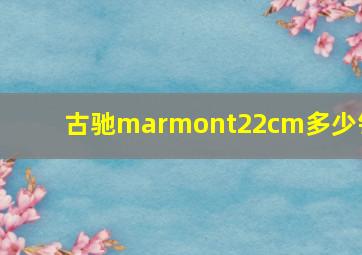 古驰marmont22cm多少钱