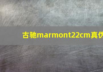 古驰marmont22cm真伪