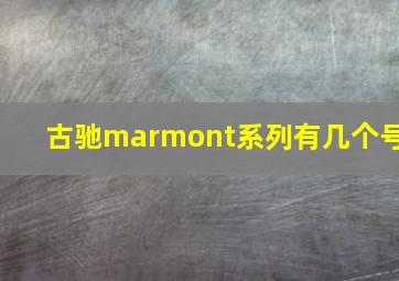 古驰marmont系列有几个号