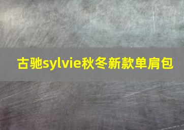 古驰sylvie秋冬新款单肩包