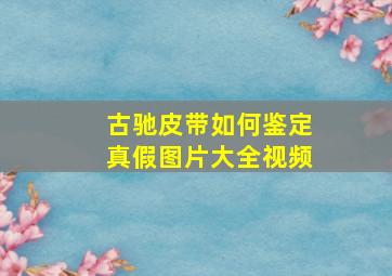 古驰皮带如何鉴定真假图片大全视频