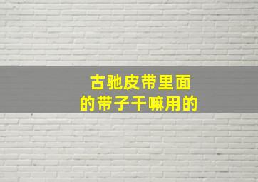 古驰皮带里面的带子干嘛用的