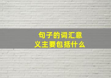 句子的词汇意义主要包括什么