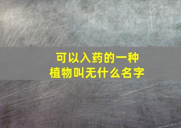 可以入药的一种植物叫无什么名字