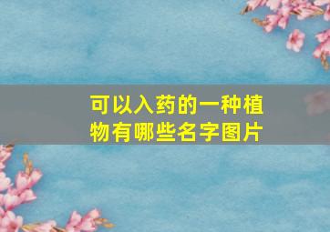 可以入药的一种植物有哪些名字图片