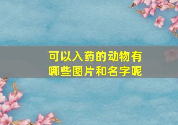 可以入药的动物有哪些图片和名字呢