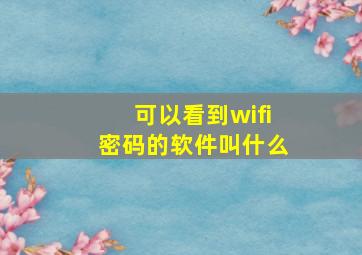 可以看到wifi密码的软件叫什么