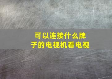 可以连接什么牌子的电视机看电视