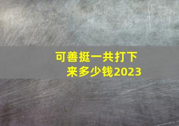 可善挺一共打下来多少钱2023