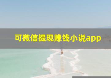 可微信提现赚钱小说app