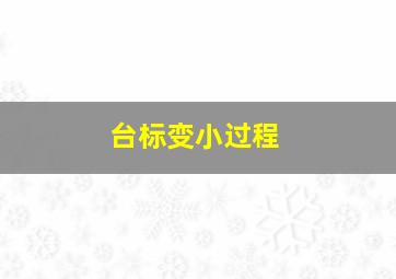 台标变小过程