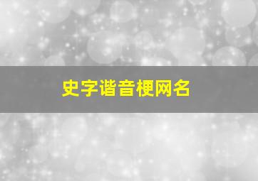 史字谐音梗网名