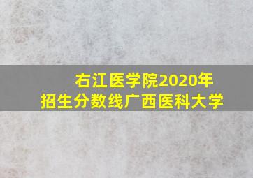 右江医学院2020年招生分数线广西医科大学