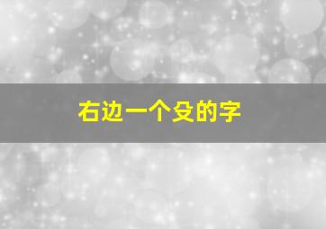 右边一个殳的字