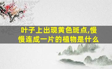 叶子上出现黄色斑点,慢慢连成一片的植物是什么