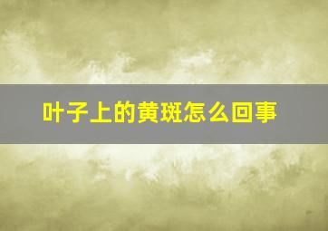 叶子上的黄斑怎么回事