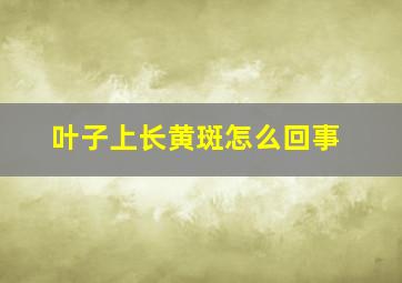 叶子上长黄斑怎么回事