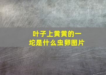 叶子上黄黄的一坨是什么虫卵图片