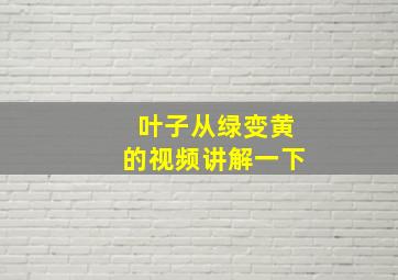 叶子从绿变黄的视频讲解一下