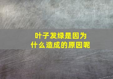 叶子发绿是因为什么造成的原因呢