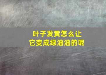 叶子发黄怎么让它变成绿油油的呢