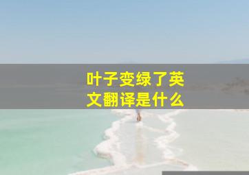 叶子变绿了英文翻译是什么