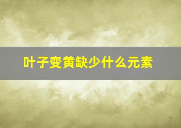 叶子变黄缺少什么元素