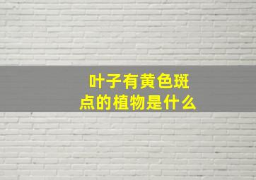 叶子有黄色斑点的植物是什么