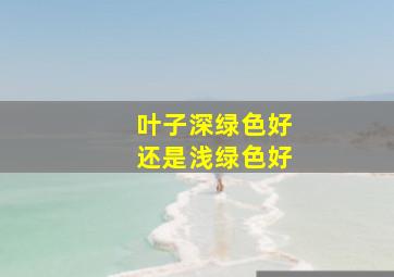 叶子深绿色好还是浅绿色好