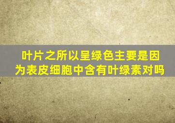 叶片之所以呈绿色主要是因为表皮细胞中含有叶绿素对吗