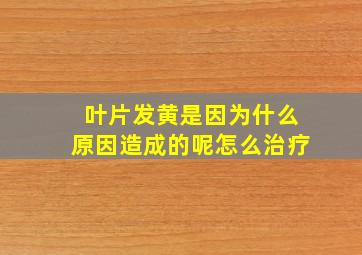 叶片发黄是因为什么原因造成的呢怎么治疗