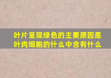 叶片呈现绿色的主要原因是叶肉细胞的什么中含有什么