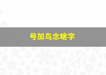 号加鸟念啥字