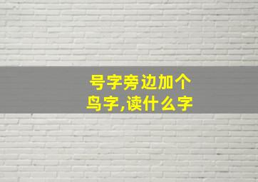 号字旁边加个鸟字,读什么字