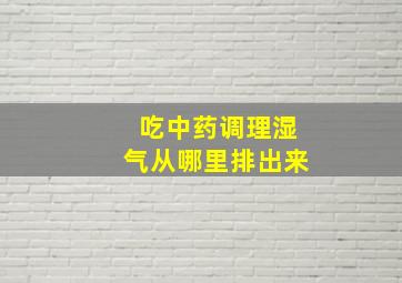 吃中药调理湿气从哪里排出来