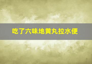 吃了六味地黄丸拉水便