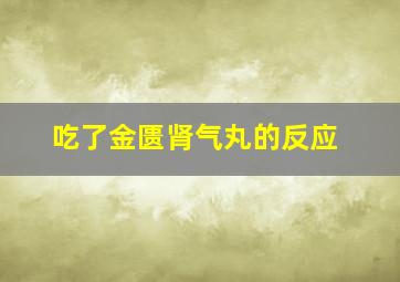 吃了金匮肾气丸的反应