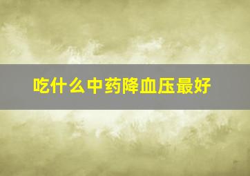 吃什么中药降血压最好