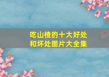 吃山楂的十大好处和坏处图片大全集