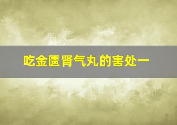 吃金匮肾气丸的害处一