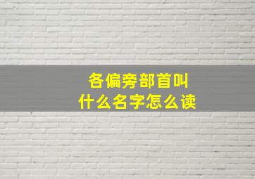 各偏旁部首叫什么名字怎么读