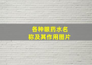 各种眼药水名称及其作用图片