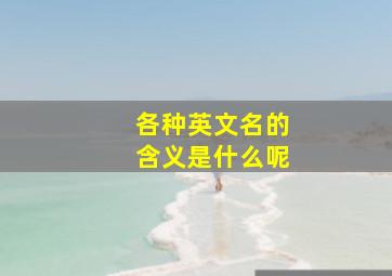 各种英文名的含义是什么呢