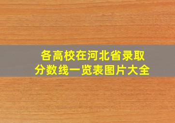 各高校在河北省录取分数线一览表图片大全